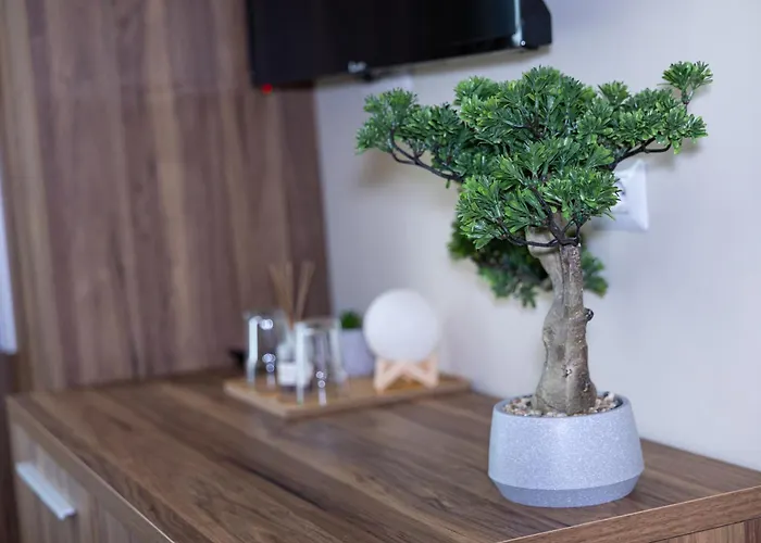 4r Colombo 3* Tirana